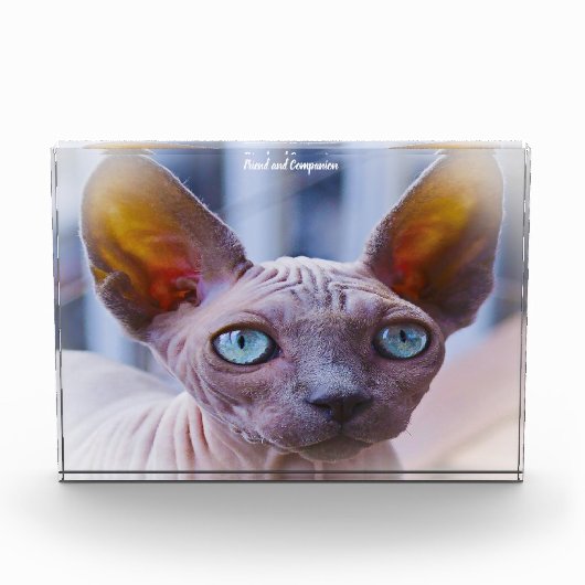 Sphynx Cat Fotoblokken (Voorkant)