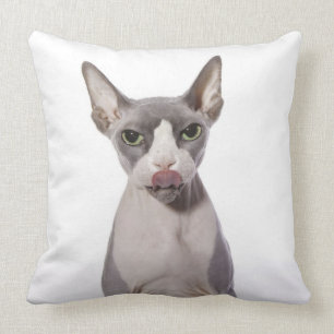Sphynx Cat met tong uit Kussen