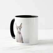 Sphynx Cat met tong uit Mok (Voorkant links)