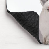 Sphynx Cat met tong uit Muismat (Hoek)