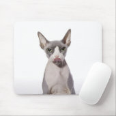 Sphynx Cat met tong uit Muismat (Met muis)