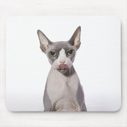 Sphynx Cat met tong uit Muismat (Voorkant)
