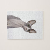 Sphynx Cat met verraste expressie Legpuzzel (Horizontaal)