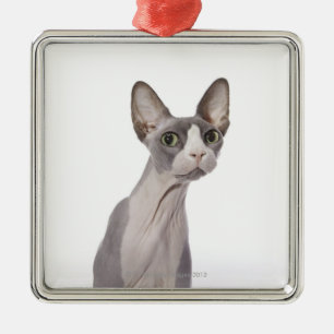 Sphynx Cat met verraste expressie Metalen Ornament