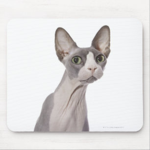 Sphynx Cat met verraste expressie Muismat