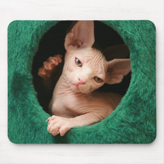 Sphynx Cat Mousepad | GoSphynx.com Muismat (Voorkant)