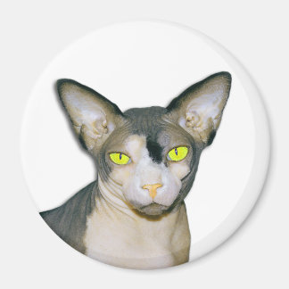 Sphynx Cat Ninja White Round Magneet