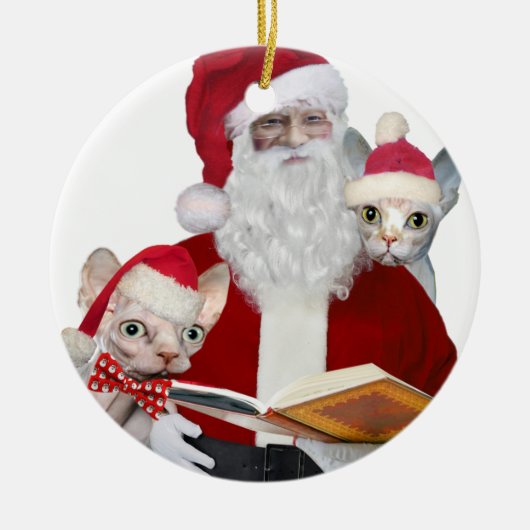 Sphynx Cat Ornaments Keramisch Ornament (Voorkant)