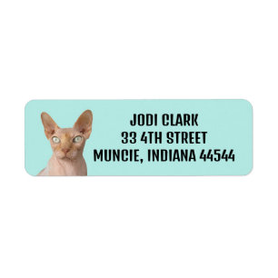 SPHYNX CAT RETURN ADRES ETIKETTERS ETIKET
