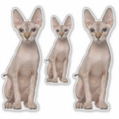 Sphynx Cat Stickers (Voorkant)