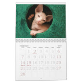Sphynx Cats Wall Agenda | GoSphynx.com Kalender (Feb 2027)