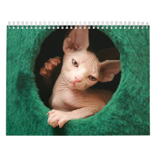 Sphynx Cats Wall Agenda | GoSphynx.com Kalender