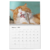sphynx Cute Cat Kalender (Feb 2027)