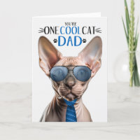 Sphynx Haarloze Kat Vaderdag Een Koele Kat