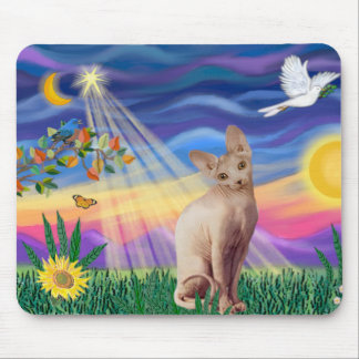 Sphynx Kat 1 - Schemering Muismat