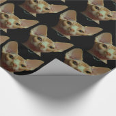 sphynx-kat cadeaupapier (Hoek)