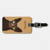 Sphynx-kat met Abstracte tekening van gele ogen Bagagelabel (Voorkant horizontaal)