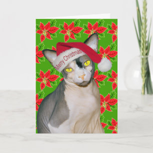 Sphynx Kat Ninja Kerstman Kerst Holi Groen Kaart