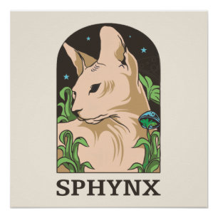 Sphynx Kat Portret Handgetekend Perfect Poster