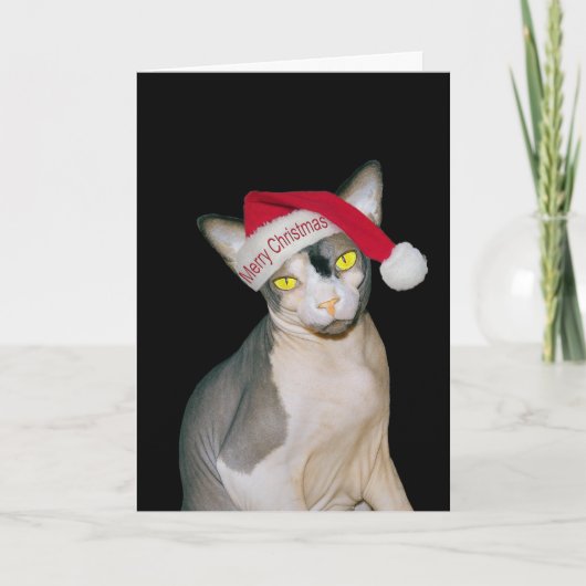 Sphynx Kat Santa Zwart Kerstmis Kaart (Voorkant)