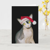 Sphynx Kat Santa Zwart Kerstmis Kaart (Gele Bloem)