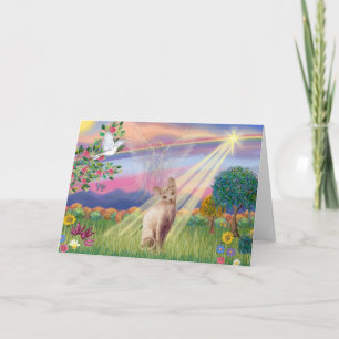 Sphynx Kat - Wolken Engel Kaart
