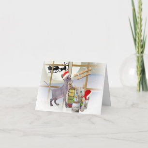 Sphynx Kitten gelooft in Santa Feestdagen Kaart