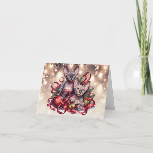 Sphynx Kittens Kerst Kaart (Voorkant)