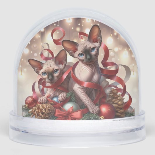 Sphynx Kittens Noël (Avant)