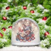 Sphynx Kittens Noël (Noël)