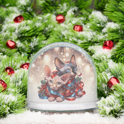 Sphynx Kittens Noël (Noël)