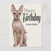 Sphynx Kitty Carte postale personnalisée pour l'an (Devant)