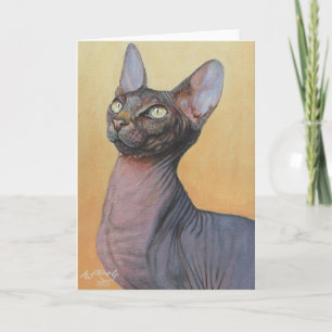 Sphynx Sphinx Cat Cats Electra Kaart