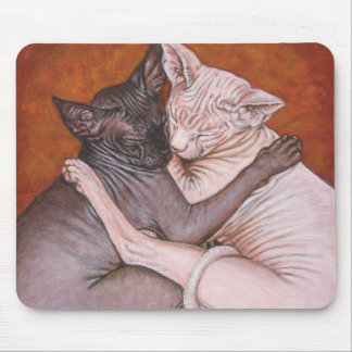 Sphynx Sphinx Cat Cats Nap Time Muismat