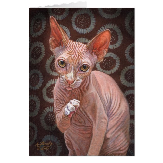 Sphynx Sphinx Cat Jack (Voorkant)