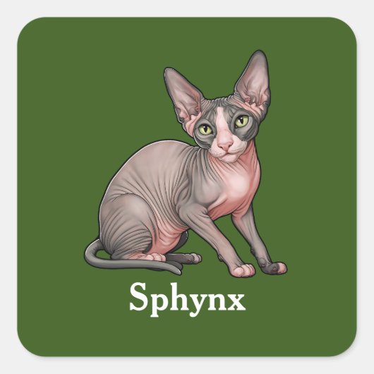 Sphynx Vierkante Sticker (Voorkant)