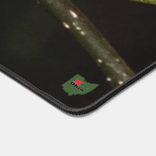 Spicebush Swallowtail Caterpillar (Coin)