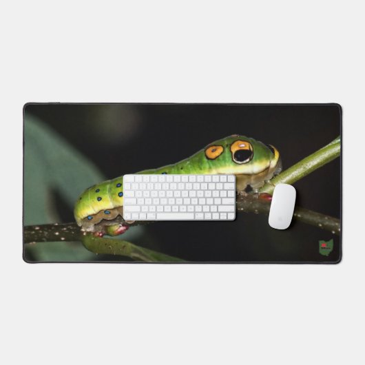 Spicebush Swallowtail Caterpillar (Clavier et souris)