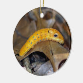 Spicebush Swallowtail Caterstyle Ornament (Links)