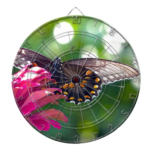 Spicebush Swallowtail Dartbord (Voorkant)