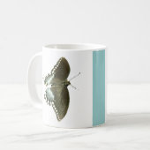 Spicebush Swallowtail Mok (Voorkant links)