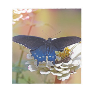 Spicebush Swallowtail Notitieblok