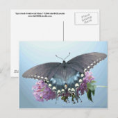 Spicebush Swallowtail Photo Briefkaart (Voorkant / Achterkant)
