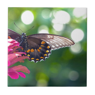 Spicebush Swallowtail Tegeltje