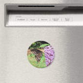 Spicebush vlinder ~ magneet (Insitu (Vaatwasser))