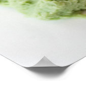 Spicy Crab Sushi Poster (Hoek)