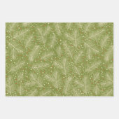 Spicy Kittens Inpakpapier Vel (Voorkant 3)