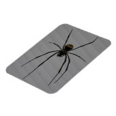 Spider 3"x4" Magnet Magneet (Linkerzijde)