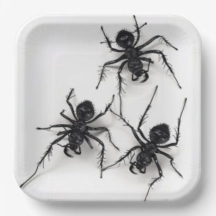 Spider 4-9 kartonnen zakken papieren bordje