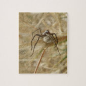 Spider and Egg Sac Puzzle (Vertical)